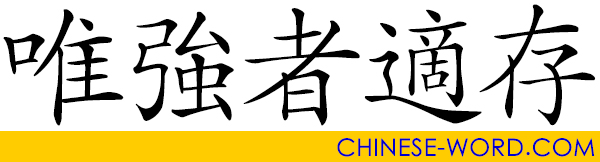 Chinese idiom: 唯強者適存, Only the Strong Survives.